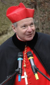Kardinal_Christoph_Schonborn