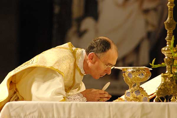 Mgr Tissier, Lourdes 2014